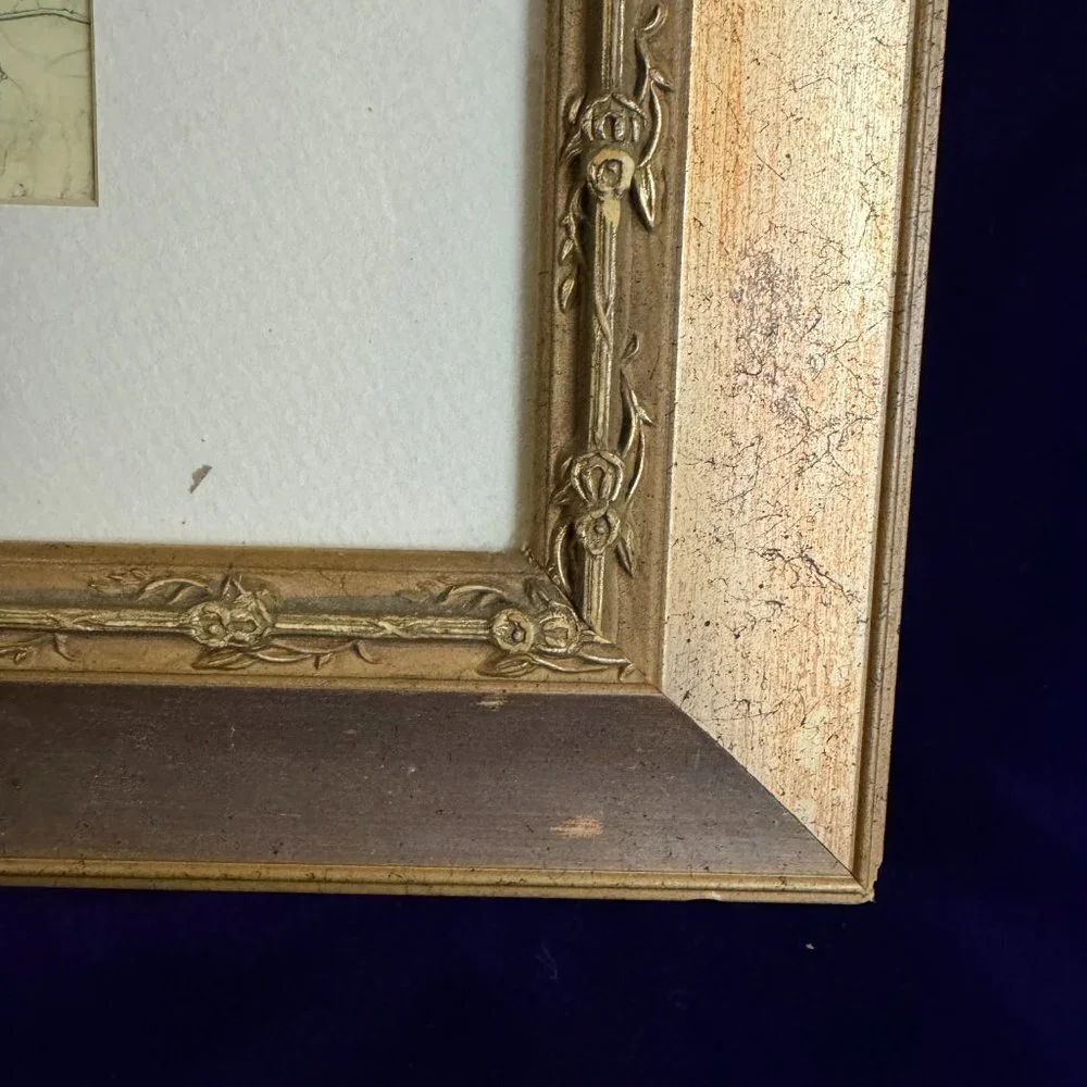 Framed Picture Botanical Art Flowers